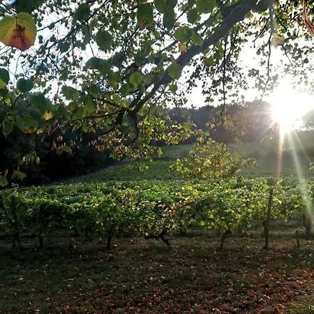 Salleboeuf Chateau Regaldo-Saint Blancard מראה חיצוני תמונה