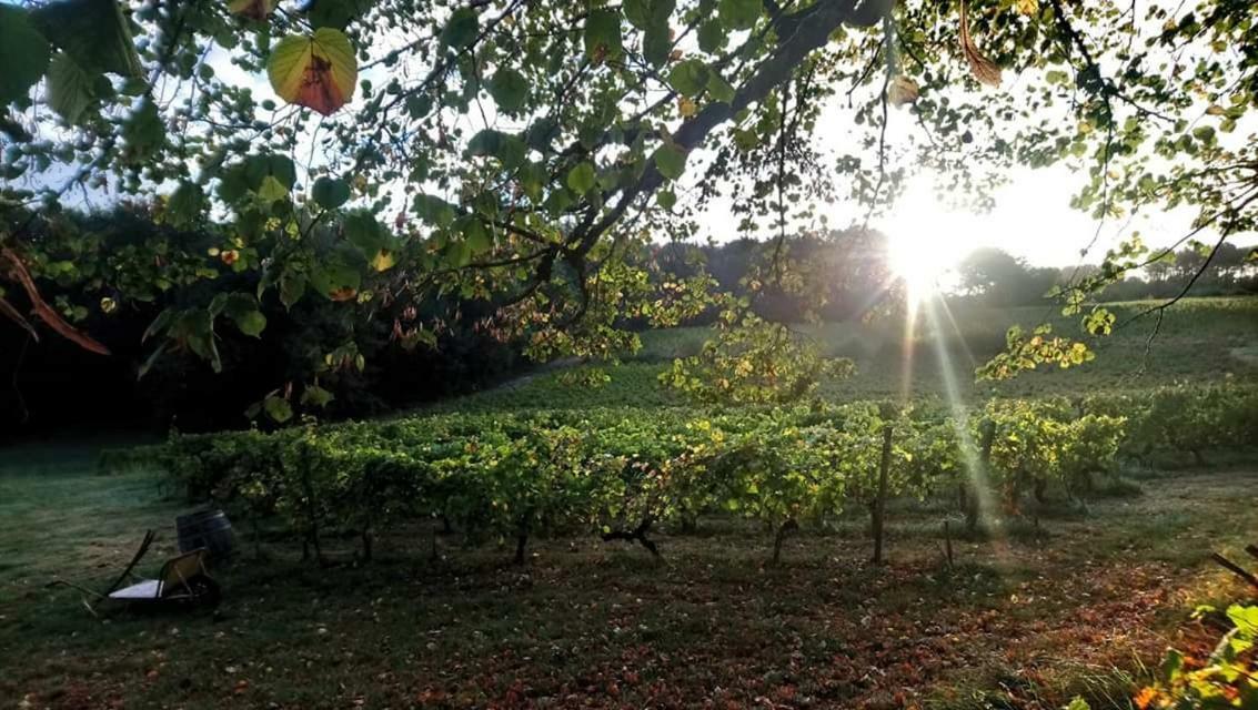 Salleboeuf Chateau Regaldo-Saint Blancard מראה חיצוני תמונה