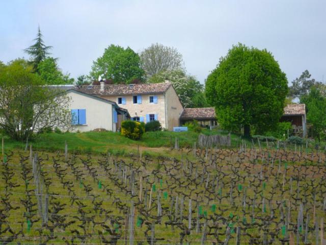 Salleboeuf Chateau Regaldo-Saint Blancard מראה חיצוני תמונה